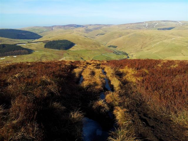 Upper Coquet Valley east from the top of Shillhope, the military land is south of the river. 20130217_122102