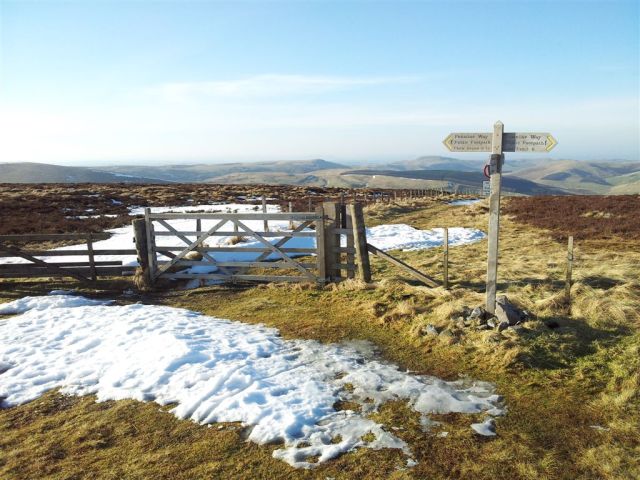 Looking north over the Border Fence on the Border Ridge & Pennine Way. Scotland 10ft away. Looking north over the Border Fence on the Border Ridge & Pennine Way. Scotland 10ft away.