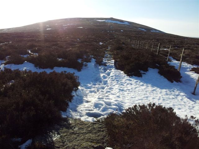 The Border Ridge & Pennine Way with Windy Gyle summit cairn beckoning. Except this is a false summit :-) The Border Ridge & Pennine Way with Windy Gyle summit cairn beckoning. Except this is a false summit :-)