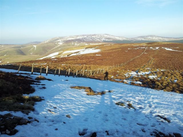 Heading up to Windy Gyle, looking back down the Border Fence to the lumpy Cheviot Heading up to Windy Gyle, looking back down the Border Fence to the lumpy Cheviot