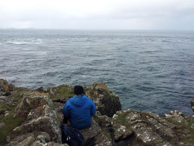 Whale spotting, consuming ourselves with the sea