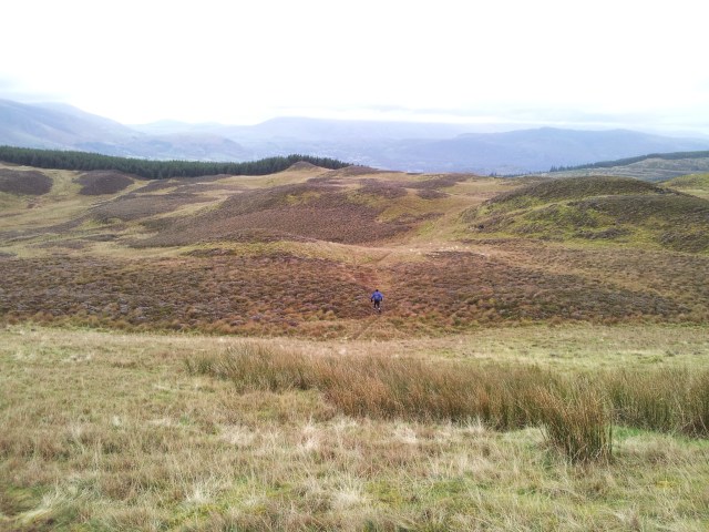 From Whinlatter Top east to more trees From Whinlatter Top east to more trees