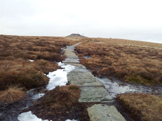 Along the red carpet - grey flagstoes