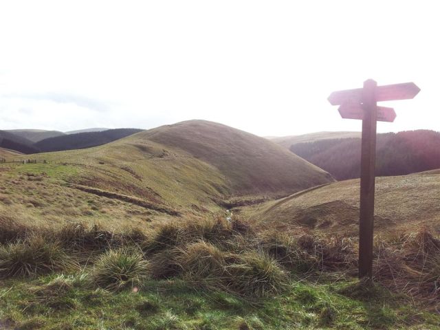 At the crosspaths, looking back over The Middle