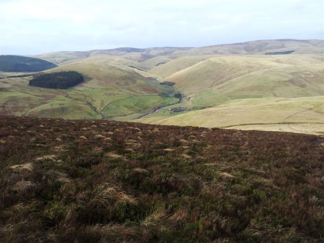 Descending Shillhope looking up the Coquet