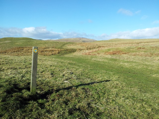 First sign of Shillhope Law on the horizon First sign of Shillhope Law on the horizon
