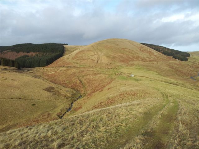 From The Middle with the route following right of the forest