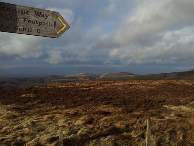 Guess which one's the Schill & how far away it is!