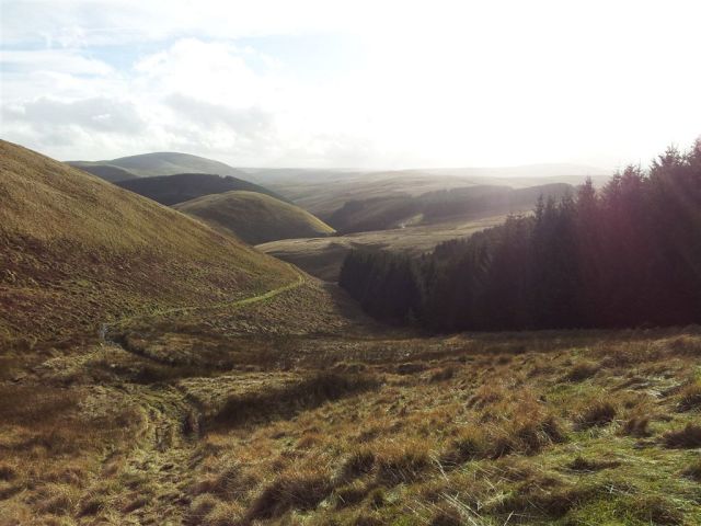 Higher up looking back again over The Middle with Shillhope above
