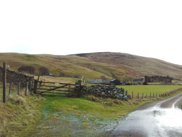 Leave the road through the gate. Shillhope up ahead