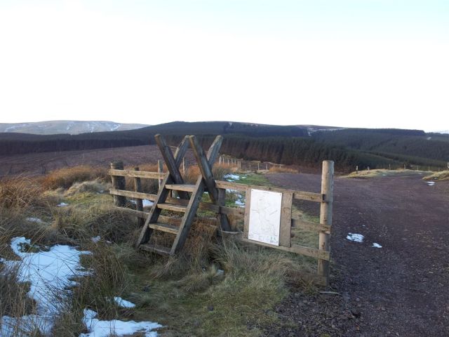 Leaving the Kidland forest, final sight of Windy Gyle on the horizon Leaving the Kidland forest, final sight of Windy Gyle on the horizon
