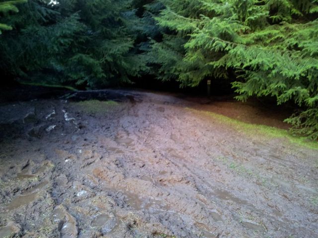 Muddiest mud of the day