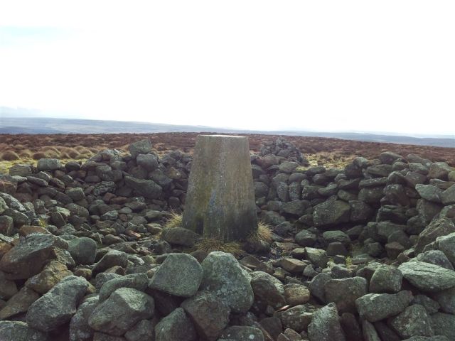 Shillhope Law summit cairn