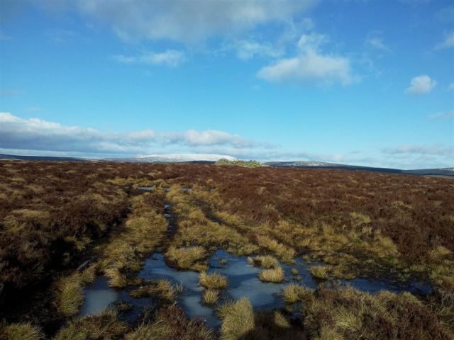 Shillhope Law summit plateau with The Cheviot in snow on the horizon Shillhope Law summit plateau with The Cheviot in snow on the horizon