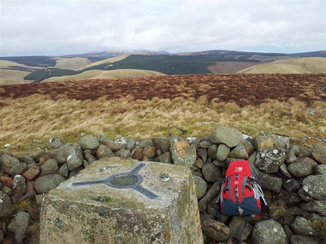 View from Shillhope north