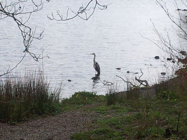 A Fairfield Round from Grasmere_2