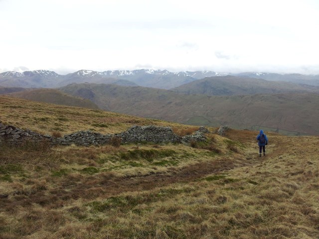 North Eastern Wainwrights, Bonscale & Arthurs Pike, Loadpot Hill, Wether Hill & Pikewassa_16