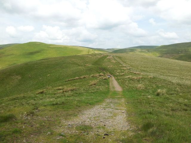 Windy Gyle from Wedder Leap, Coquet Valley, Cheviots_10