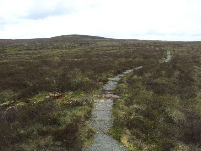 Windy Gyle from Wedder Leap, Coquet Valley, Cheviots_11