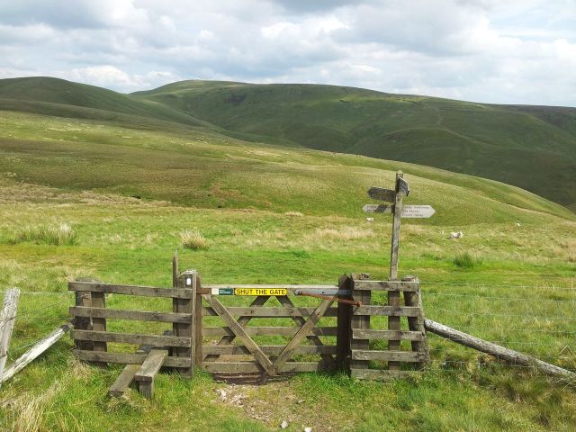 Windy Gyle from Wedder Leap, Coquet Valley, Cheviots_16