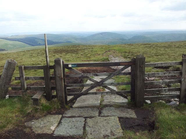Windy Gyle from Wedder Leap, Coquet Valley, Cheviots_23