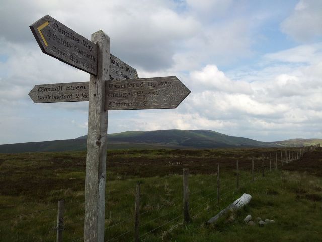 Windy Gyle from Wedder Leap, Coquet Valley, Cheviots_26