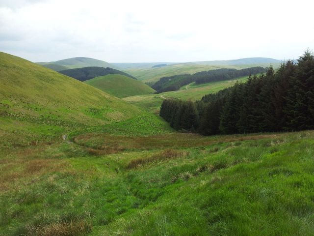 Windy Gyle from Wedder Leap, Coquet Valley, Cheviots_28