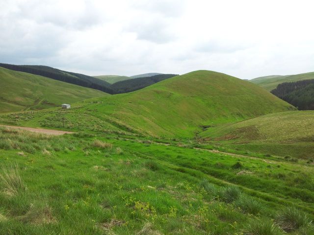 Windy Gyle from Wedder Leap, Coquet Valley, Cheviots_29