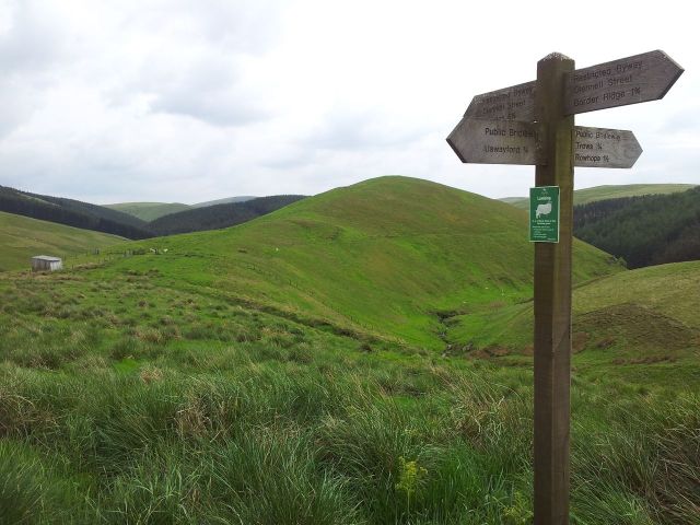 Windy Gyle from Wedder Leap, Coquet Valley, Cheviots_30