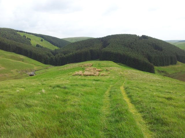 Windy Gyle from Wedder Leap, Coquet Valley, Cheviots_33