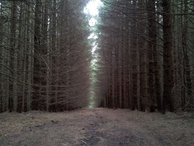 Windy Gyle from Wedder Leap, Coquet Valley, Cheviots_34
