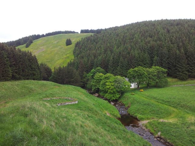 Windy Gyle from Wedder Leap, Coquet Valley, Cheviots_35