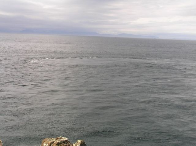 Whale spotting on Rubha Hunish