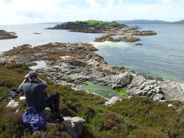 Sandaig Island seal spotting - Copy