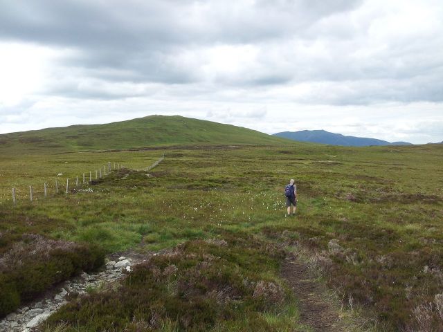 North Central Wainwrights_46