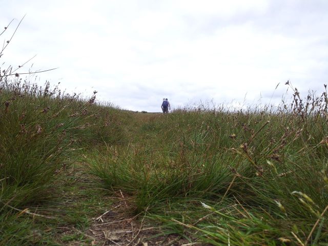 North Central Wainwrights_57