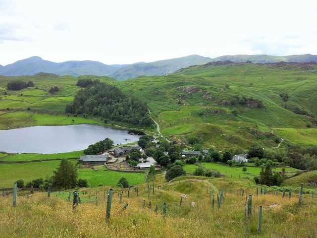 North Central Wainwrights_61