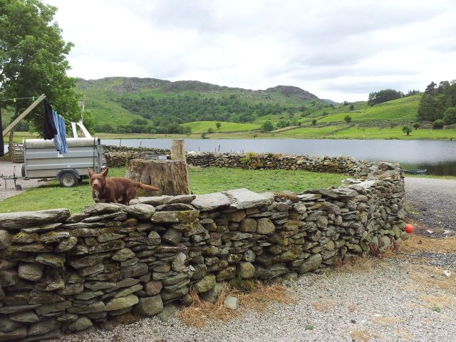 North Central Wainwrights_65