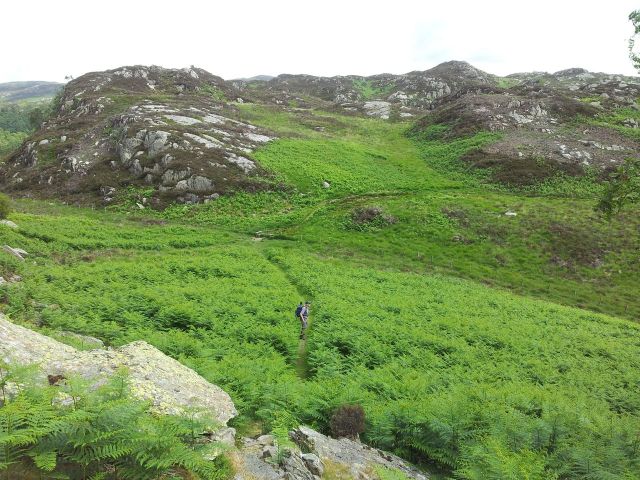 North Central Wainwrights_77