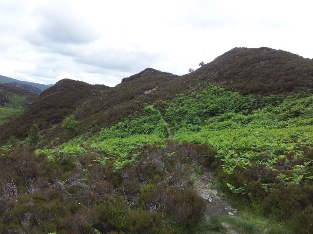 North Central Wainwrights_81