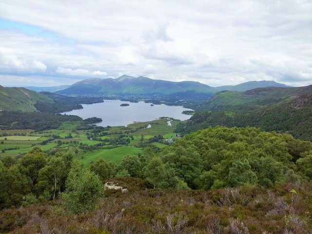 North Central Wainwrights_82