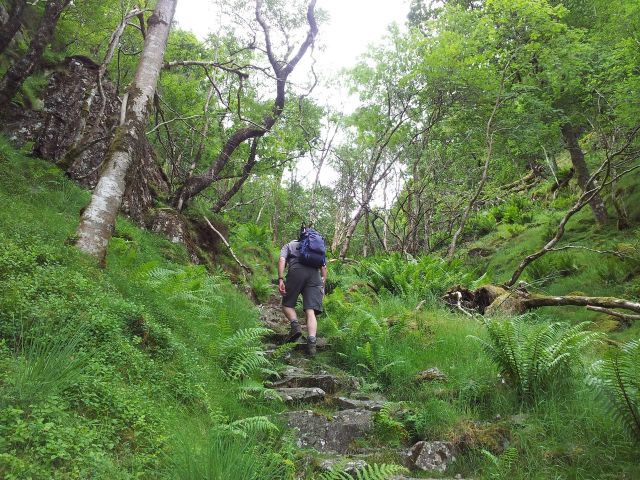 North Central Wainwrights_84