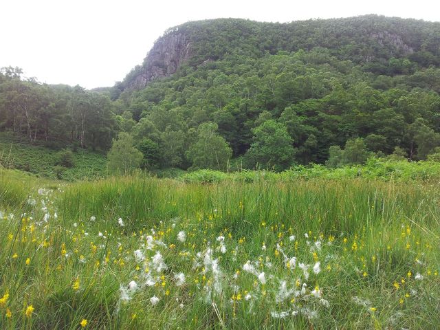 North Central Wainwrights_86