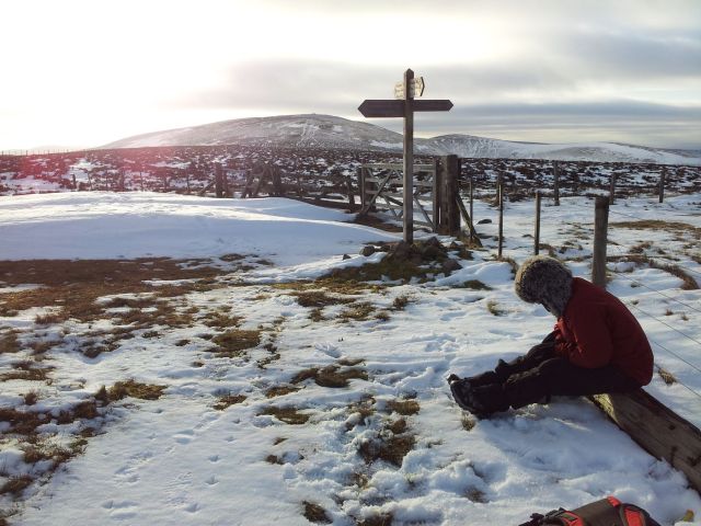 Windy Gyle in the snow Feb 2015 (20)