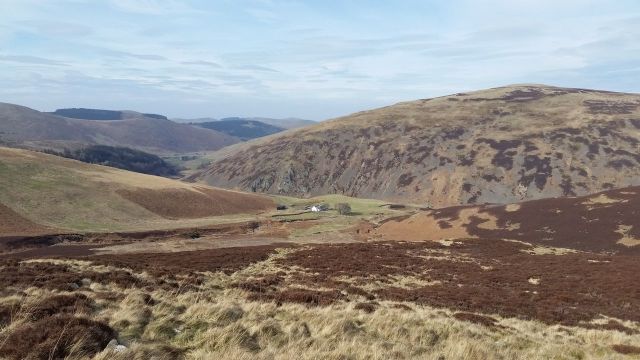 The Cheviot via the Bizzle from Langleeford_19