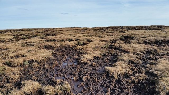 The Cheviot via the Bizzle from Langleeford_27
