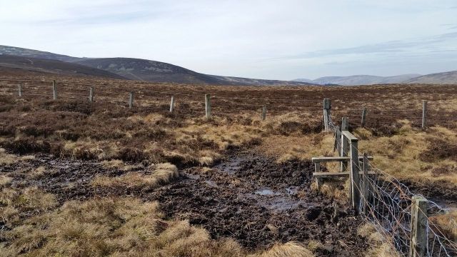 The Cheviot via the Bizzle from Langleeford_3
