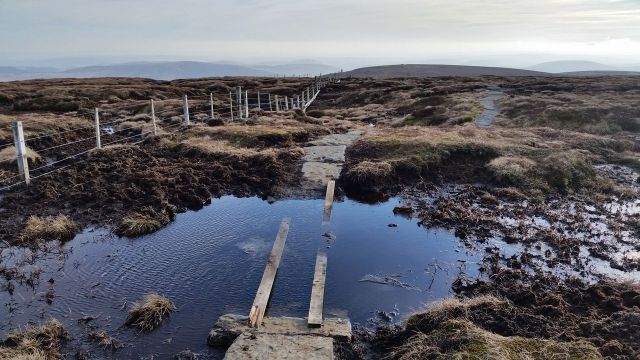 The Cheviot via the Bizzle from Langleeford_34