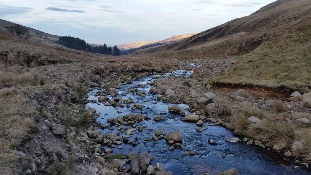 The Cheviot via the Bizzle from Langleeford_40