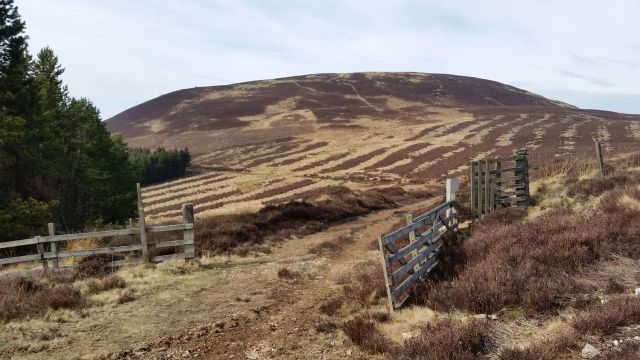 The Cheviot via the Bizzle from Langleeford_9